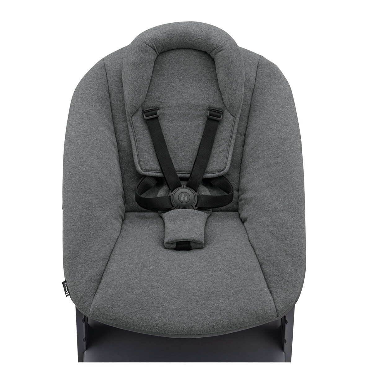 Cadeira de Refeição Evolutiva Alpha Newborn Set Plus Cinzento-escuro-11
