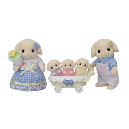 Familia Conejo Flor  Families