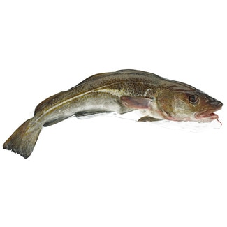 Bacalhau Selvagem Peso Aproximado 2-4 kg kg