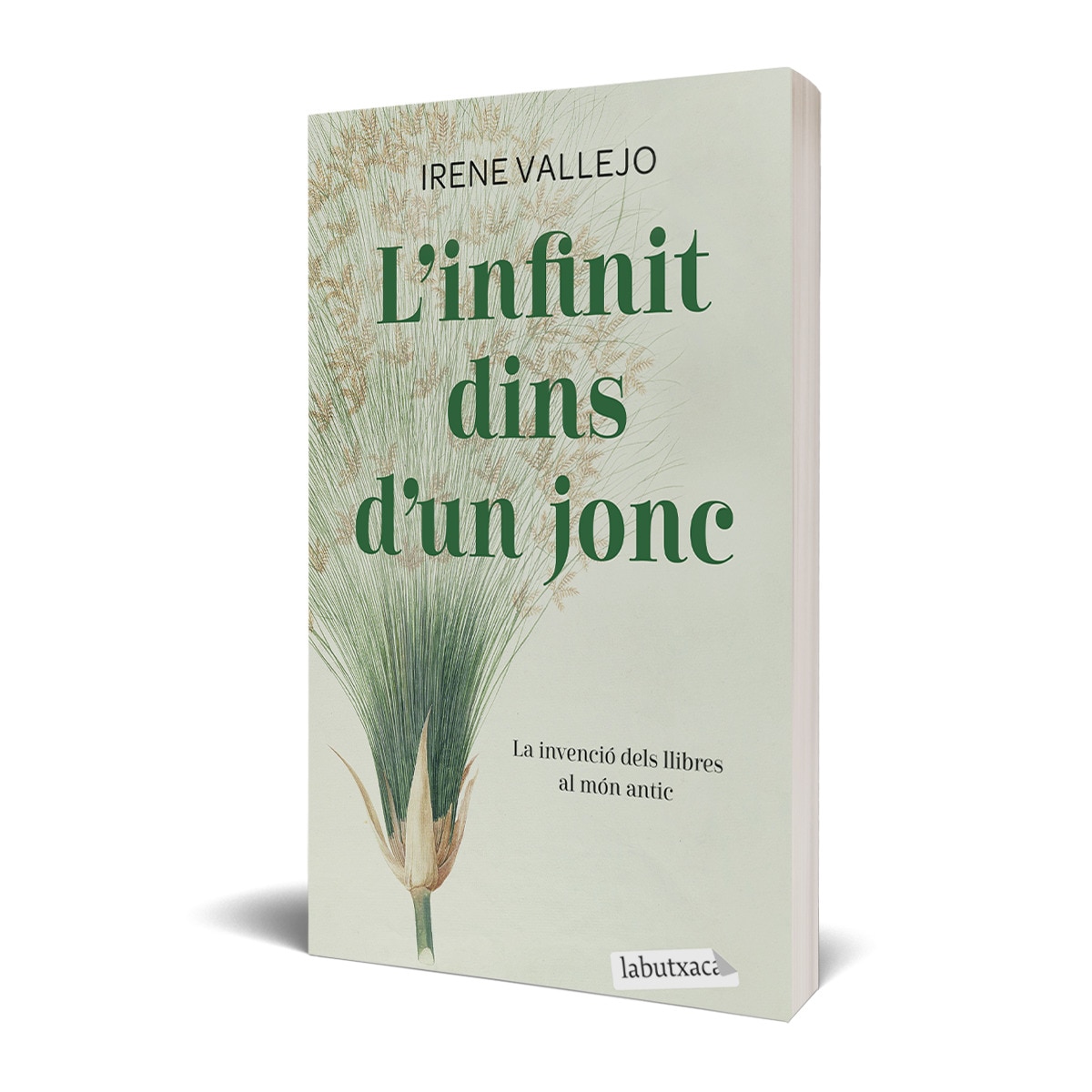Imagem 0 de L'infinit dins d'un jonc: La invenció dels llibres al món antic (Capa mole com abas)