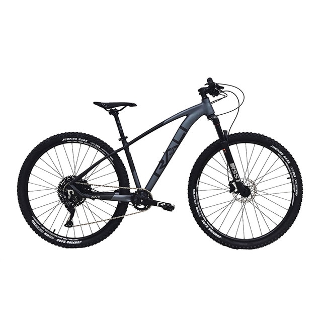 Bicicleta de montaña ADVII 29