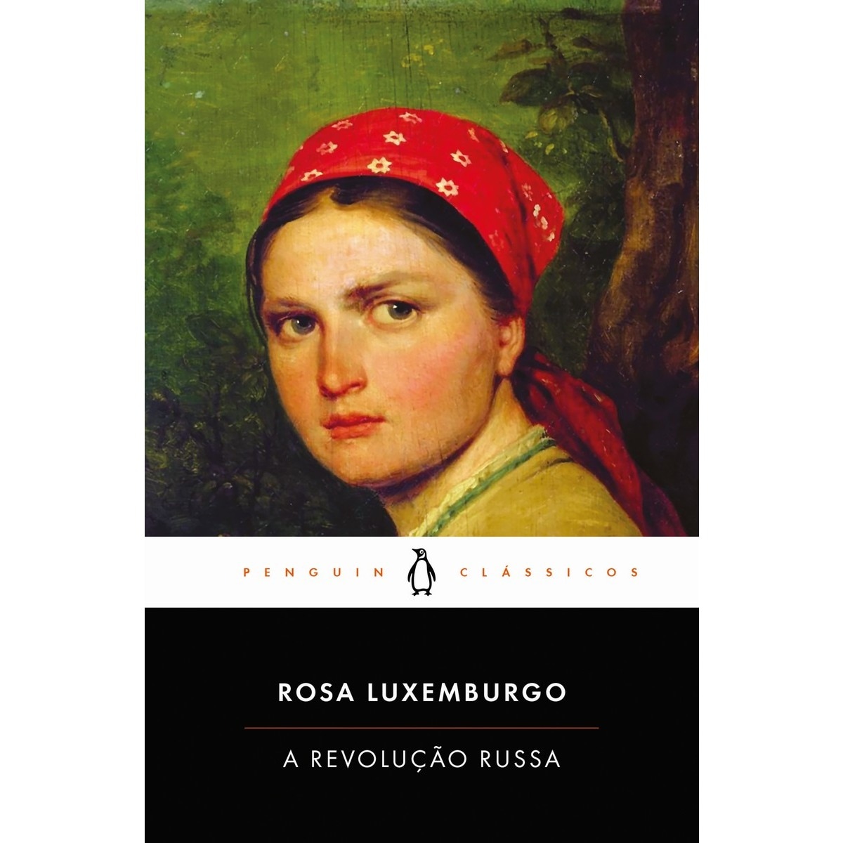 Imagem 0 de A Revolução Russa