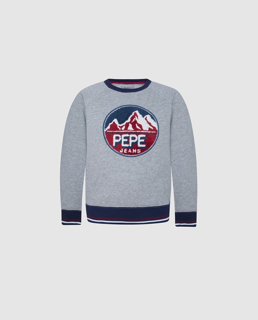 Sudadera de niño Pepe Jeans en gris con bordado