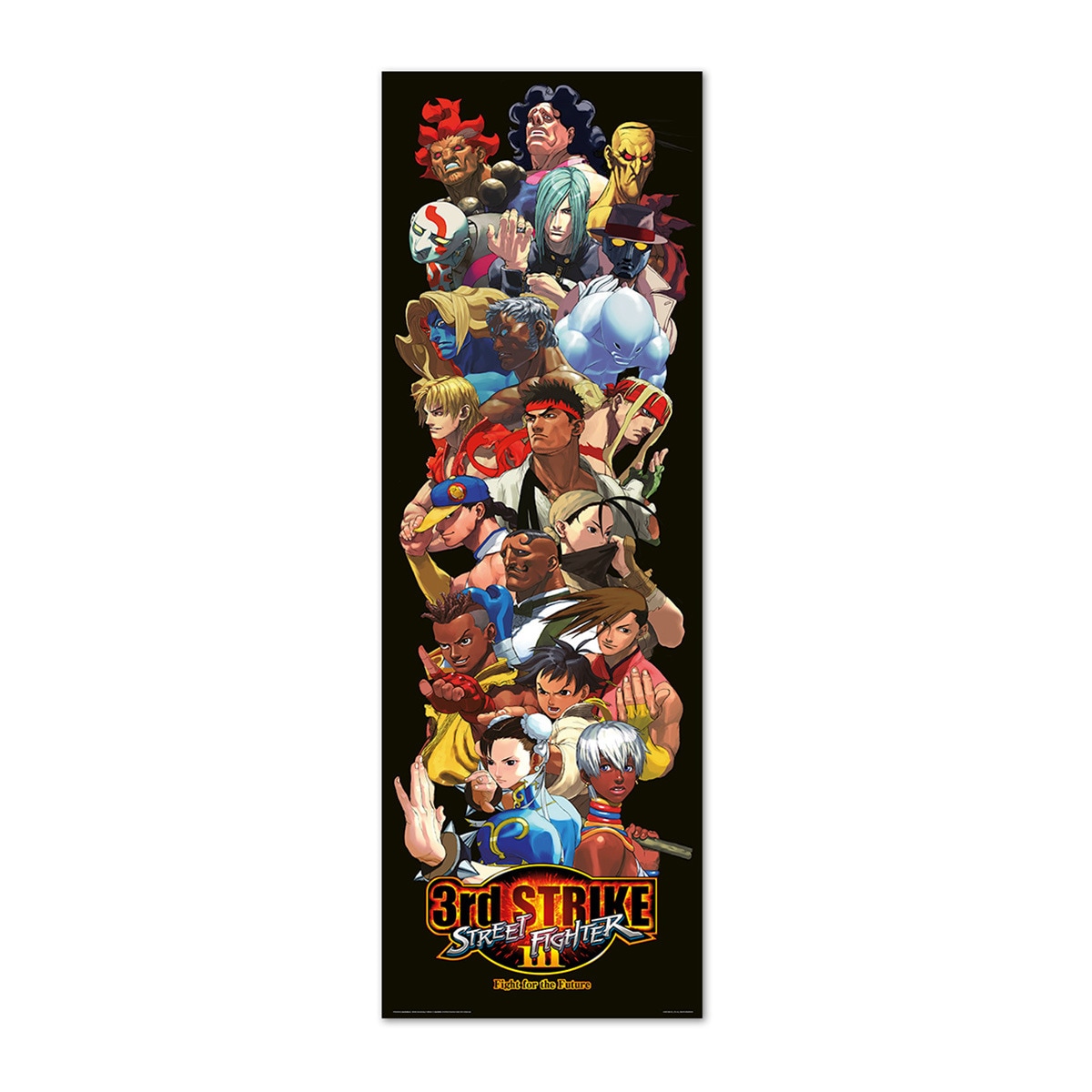 Erik - Póster Puerta Characters Street Fighter Erik.