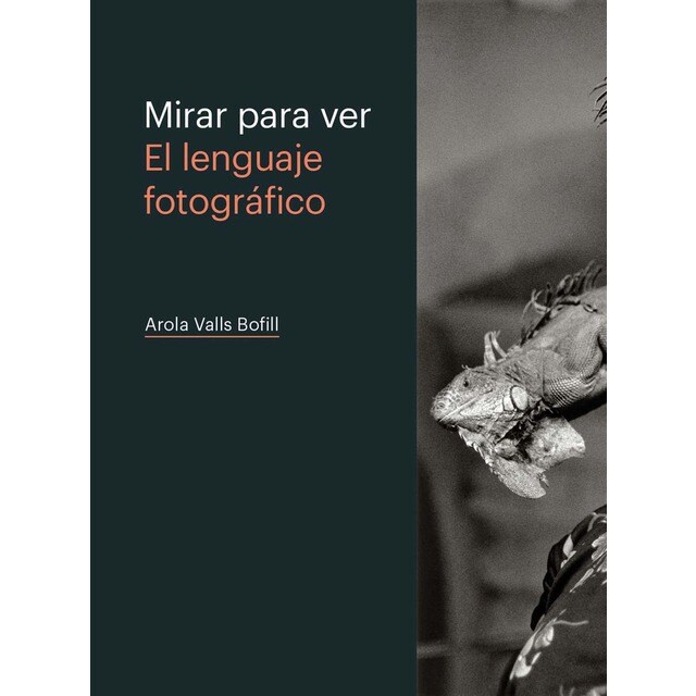 MIRAR PARA VER. EL LENGUAJE FOTOGRÁFICO (Tapa blanda)