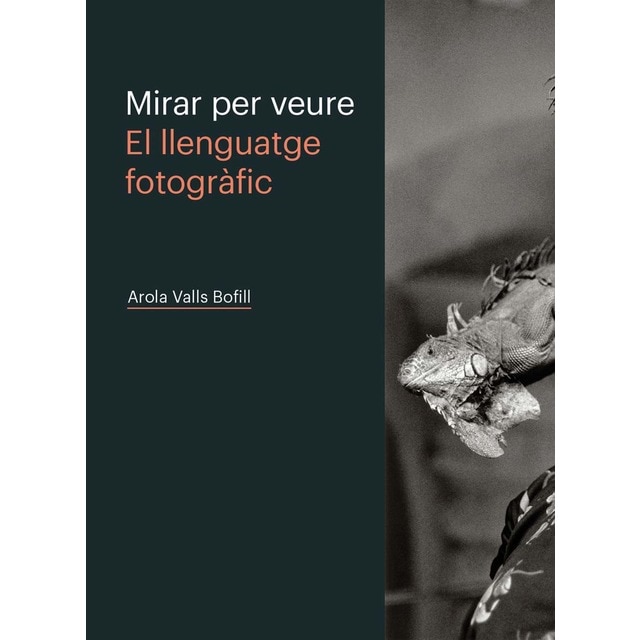 MIRAR PER VEURE. EL LLENGUATGE FOTOGRÀFIC (Tapa blanda)