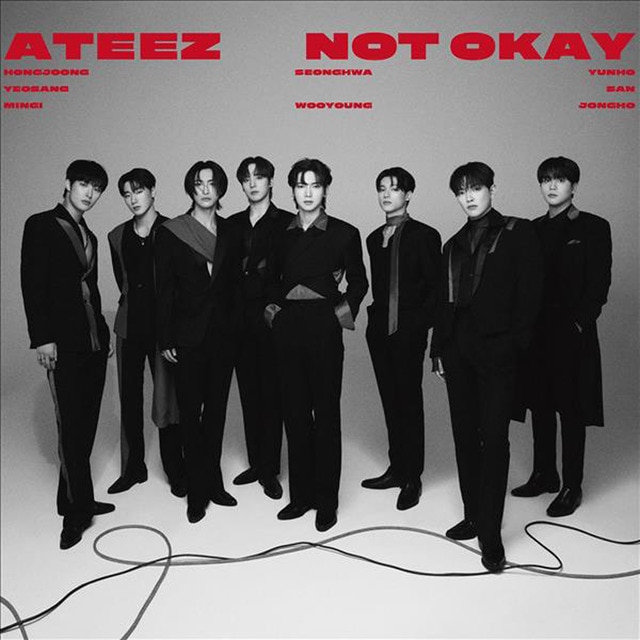 NOT OKAY Edicion Limitada B CD