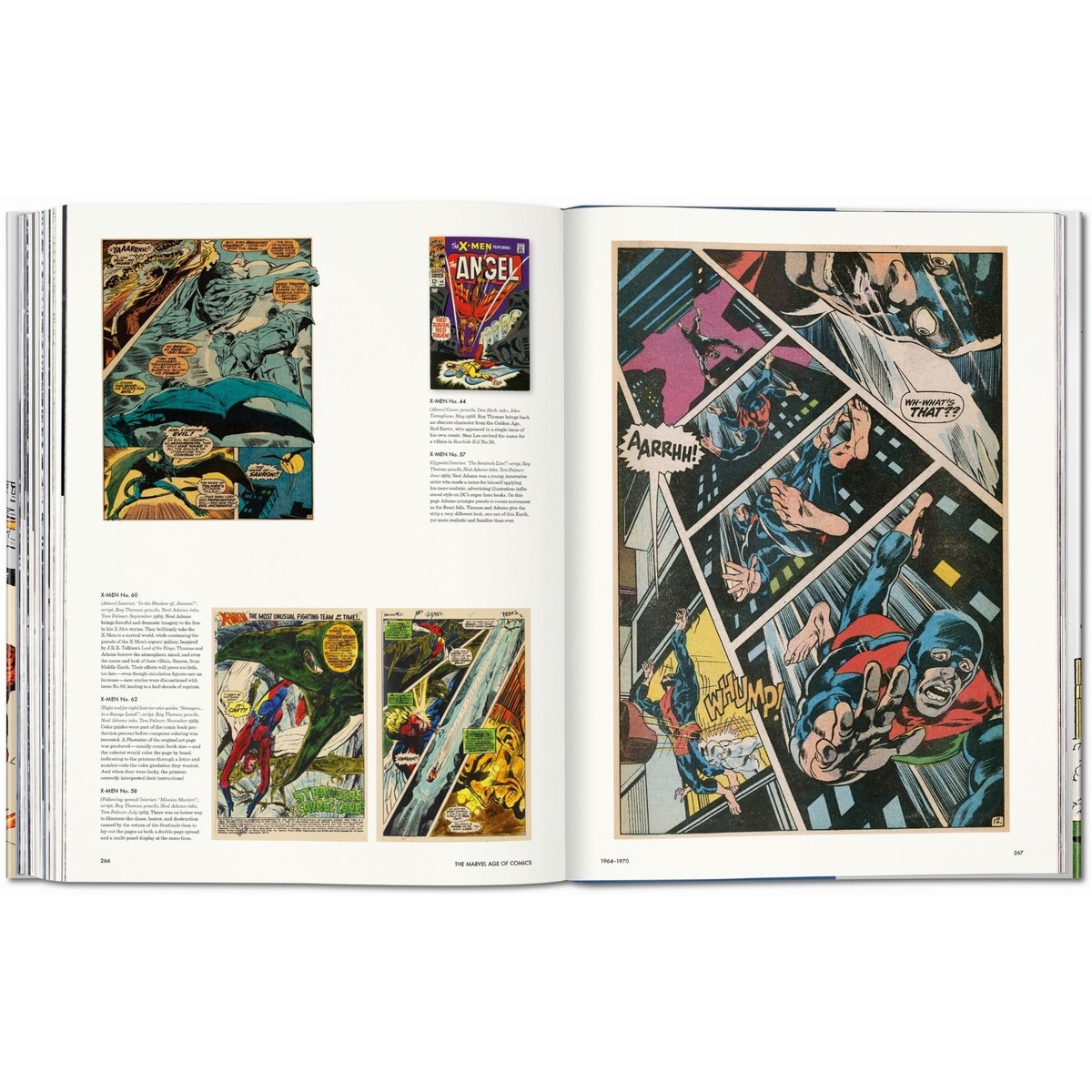 The Marvel Age of Comics 1961&1978 (Capa dura) 2