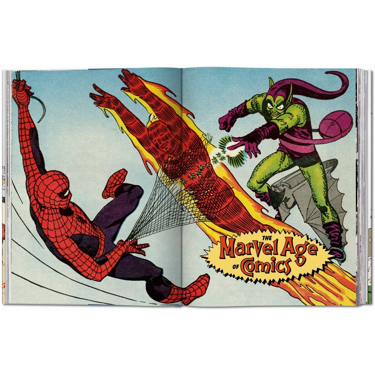 The Marvel Age of Comics 1961&1978 (Capa dura) 8