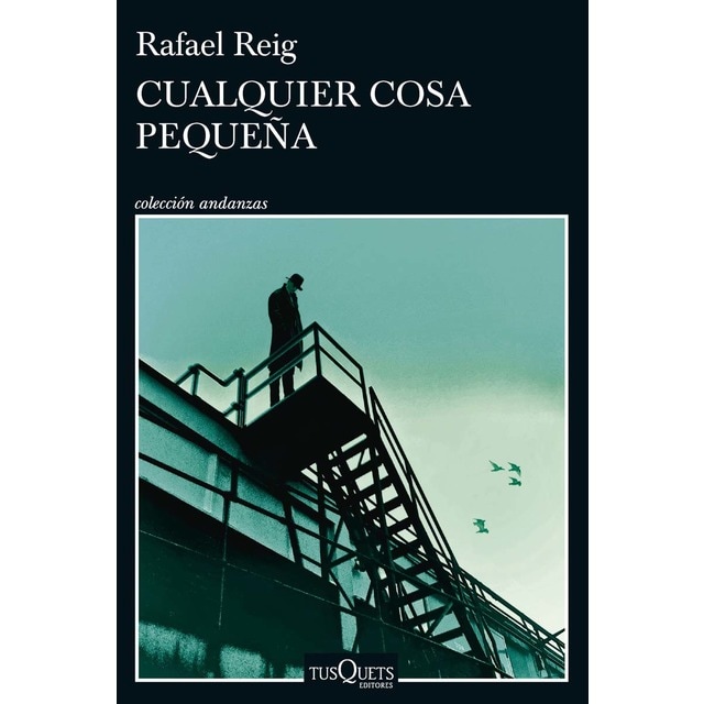 Cualquier cosa pequeña (Tapa blanda con solapas)