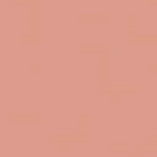 6B Brown Nude 6B Brown Nude