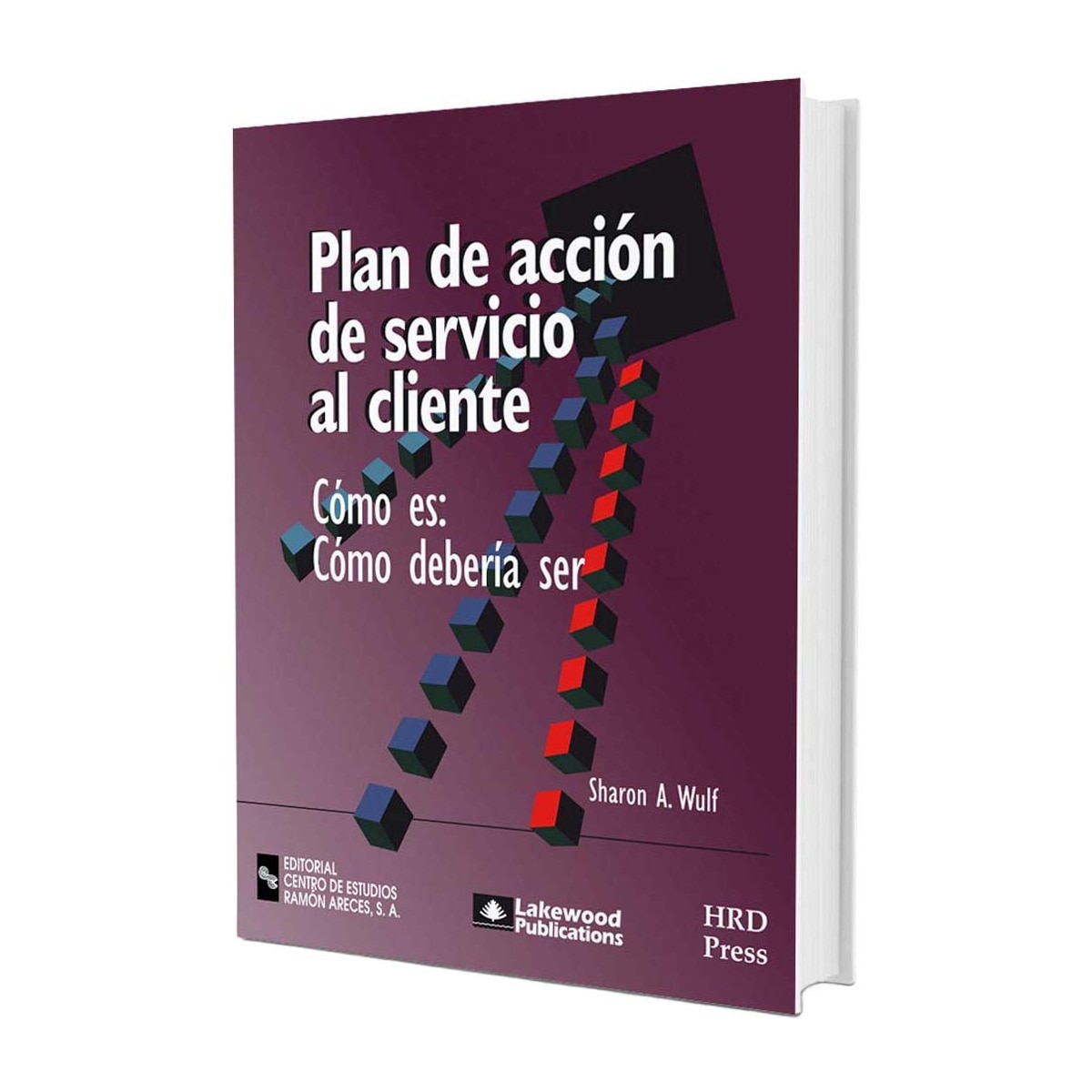 Plan de acción de servicio al cliente: Cómo es: Cómo debe ser