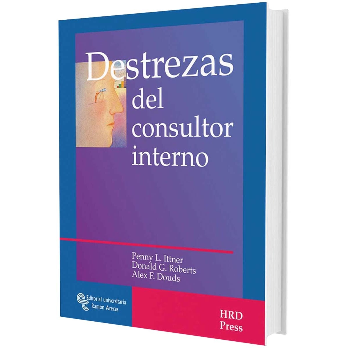 Destrezas del consultor interno