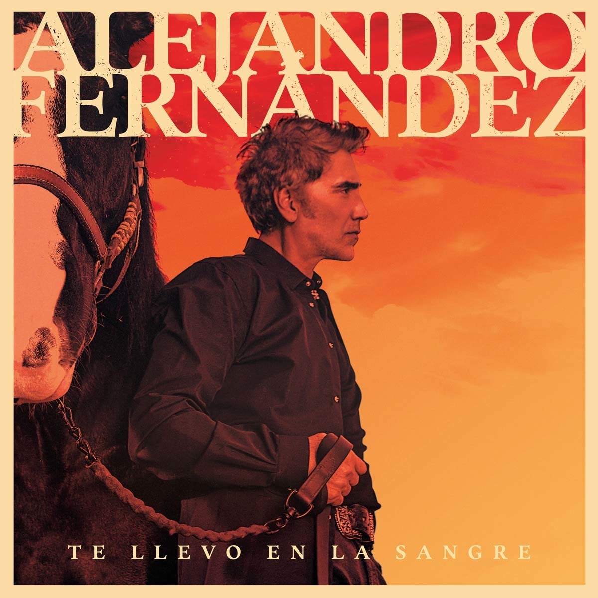 Te llevo en la sangre (CD).