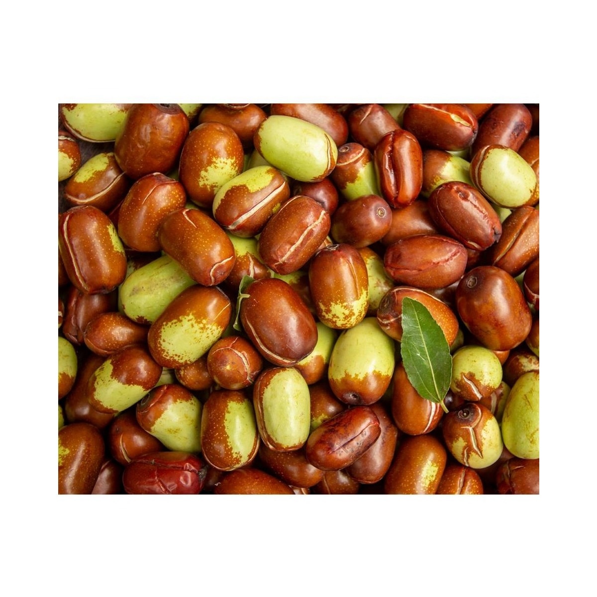Amino Acid Conditioner 4