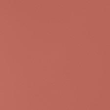 1041 Caramel Rose