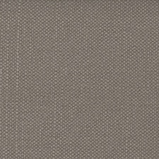 Gris plomo