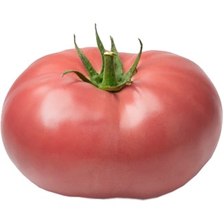 Rosa Tomate Extraqualität nach Gewicht