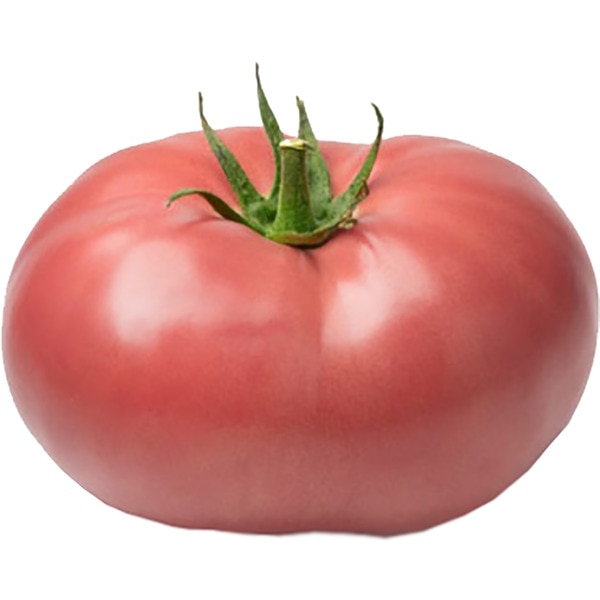 Rosa Tomate Extraqualität nach Gewicht