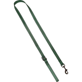 Fred & Rita Trela para Cão Verde Eucalipto Tamnho L 2,5cmx120cm embalagem 1 unidade