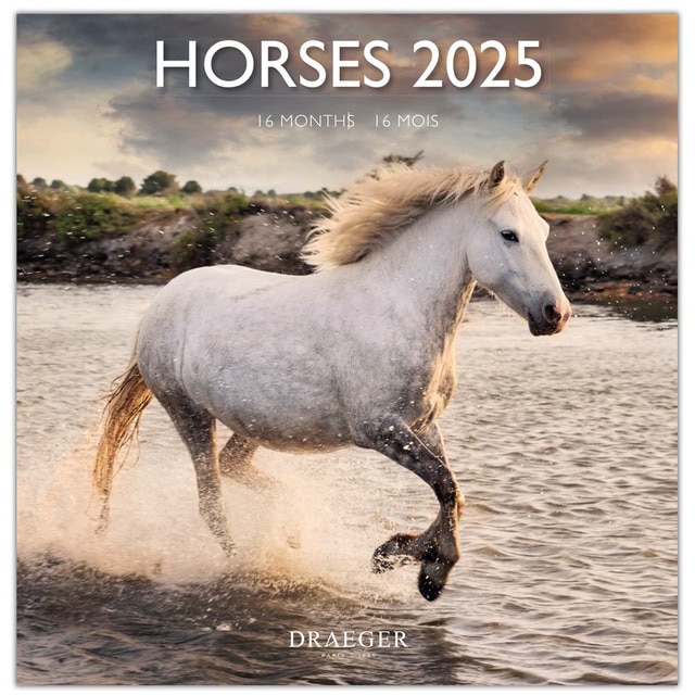 Calendario 2025 16 meses (septiembre-diciembre) mes vista por página con motivos de caballos Draeger