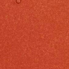 03 Coral Beige