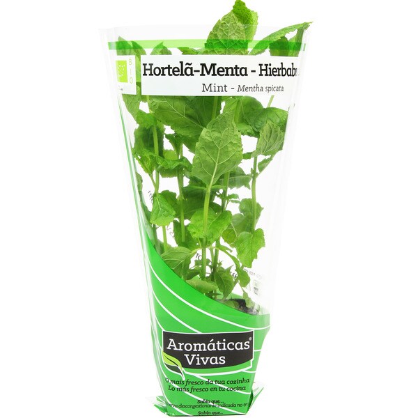 Hortelã Menta em Vaso embalagem 1 unidade