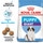 Royal Canin Ração para Cão Puppy Gigante a Partir dos 8 Meses com Mais 45 kg embalagem 15 kg