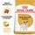 Royal Canin Ração para Cão Jack Russel Terrier Adulto embalagem 3 kg