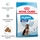 Royal Canin Ração para Cão Maxi Junior a Partir dos 15 Meses dos 25 aos 44 kg embalagem 4 kg