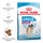 Royal Canin Ração para Cão Giant Junior dos 8 aos 18/24 Meses embalagem 15 kg