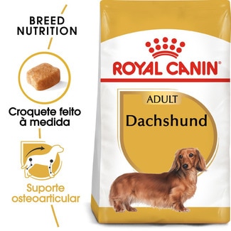 Royal Canin Ração para Cão Teckel Adulto a Partir dos 10 Meses embalagem 1,5 kg