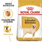 Ração para Cão Labrador Retriever a Partir dos 15 Meses embalagem 3 kg