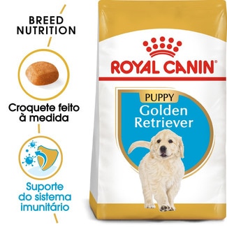 Royal Canin Alimento Seco para Cão Junior Golden Rettriever a Partir dos 15 Meses embalagem 12 kg