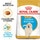 Royal Canin Alimento Seco para Cão Junior Golden Rettriever a Partir dos 15 Meses embalagem 12 kg
