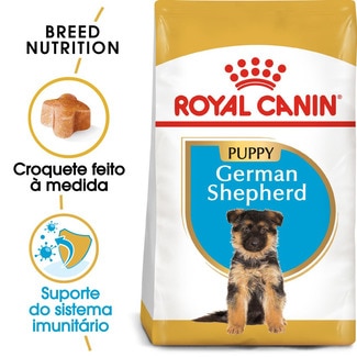 Royal Canin Alimento Seco para Cão Pastor Alemão Junior com Mais de 15 Meses embalagem 12 kg