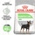 Royal Canin Alimento Seco para Cão Digestive Care Raças Mini embalagem 3 kg