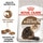 Royal Canin Ração para Gato Ageing + 12 Anos embalagem 400 g