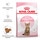 Royal Canin Alimento Seco para Gato Kitten Esterilizado a Partir dos 12 Meses embalagem 2 kg