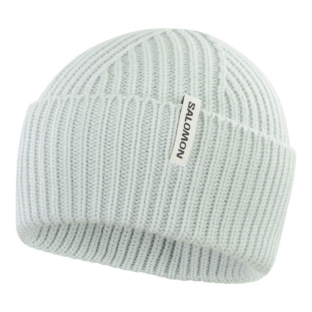 Gorro unisex Snowbird Salomon