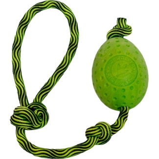 Kiwi Walker Brinquedo para Cão Verde embalagem 1 unidade