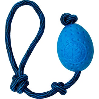 Kiwi Walker Brinquedo para Cão Azul embalagem 1 unidade