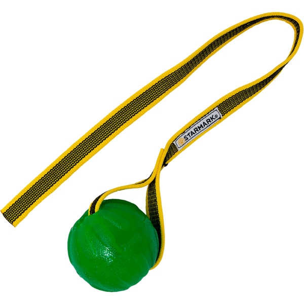 Brinquedo para Cão Corda com Bola Verde embalagem 1 unidade