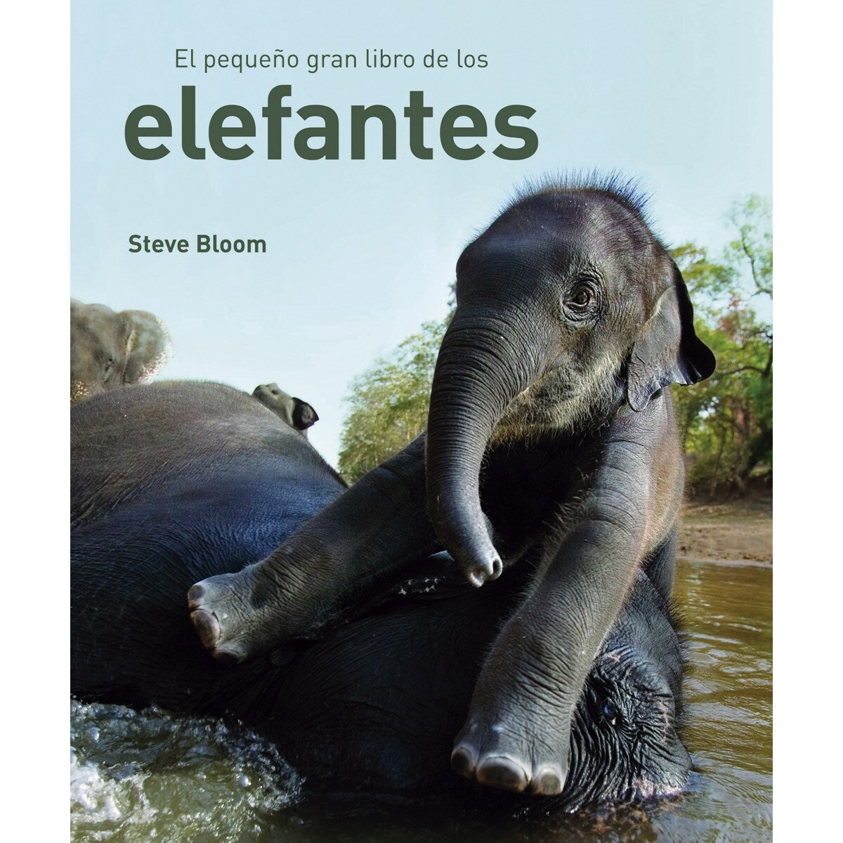 Imagem 0 de EL PEQUEÑO GRAN LIBRO DE LOS ELEFANTES (Capa dura)
