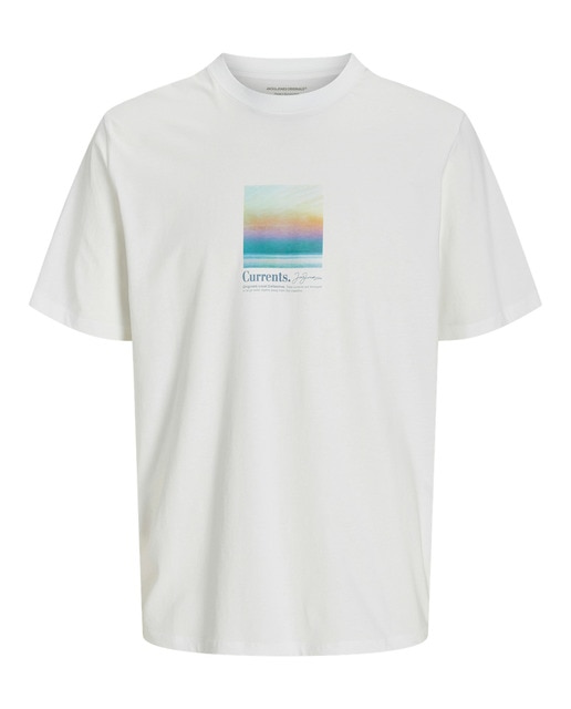 Camiseta con estampado frontal, cuello redondo  manga corta de hombre