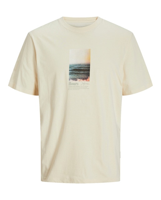 Camiseta con estampado frontal, cuello redondo  manga corta de hombre