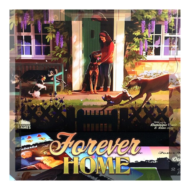 Juego de cartas Forever Home Last Level.