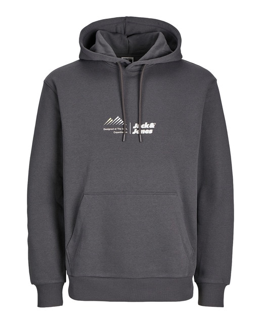Sudadera con capucha  mangas largas con bordado frontal de hombre