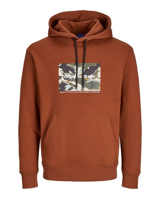 Sudadera con capucha  mangas largas con lisa de hombre