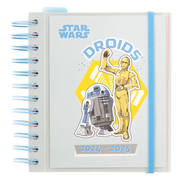 Agenda escolar 2024/2025 día página M 11 meses Star Wars Erik gris.